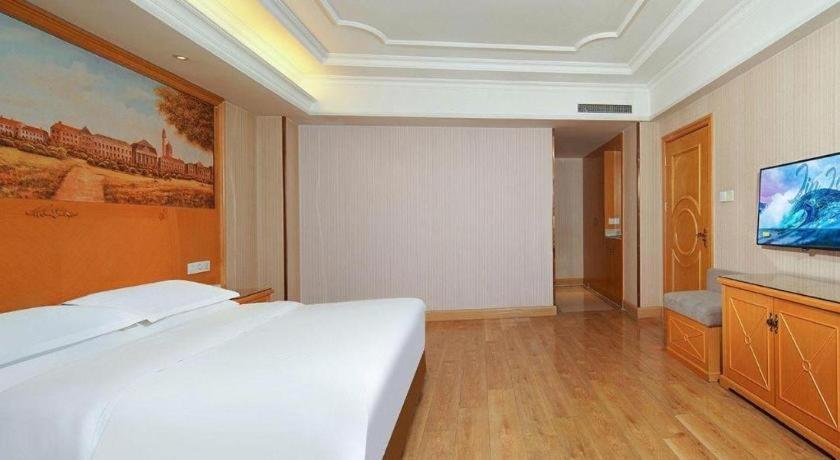 Vienna International Hotel Lhasa Potala Palace Bagian luar foto